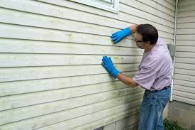 Best Siding Removal and Disposal  in Dianapolis, IN